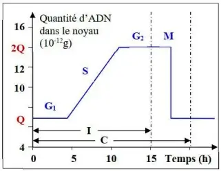 Nature de l’information génétique